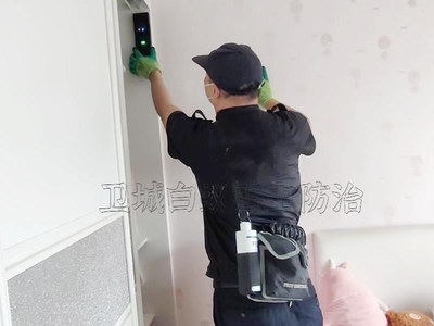 守护南城家园 专业白蚁防治服务，构筑安全防线