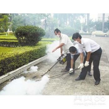 深圳南头、前海、石岩、松岗地区专业白蚁防治服务 快速响应，高效根除