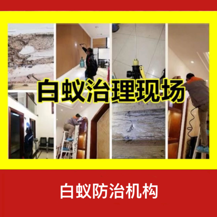 浦口区专业白蚁防治服务 官方指定站点与上门服务指南