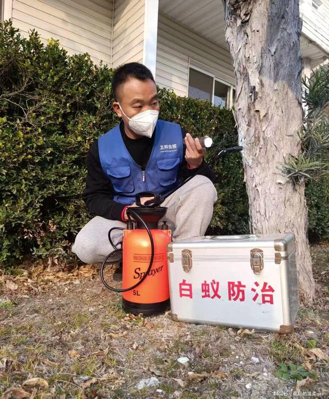 广州市白蚁防治服务全指南 专业消杀，全市县镇覆盖