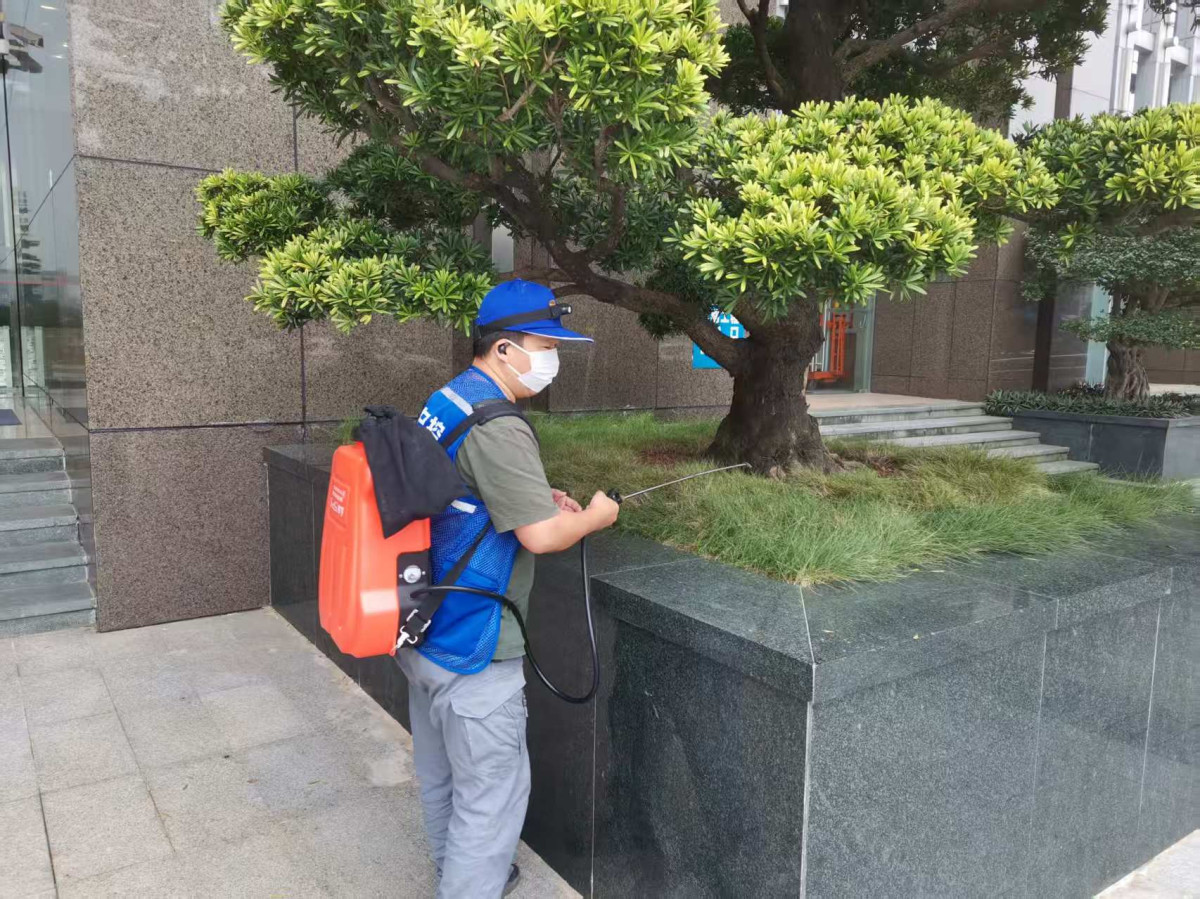 东莞麻涌镇杀虫白蚁防治 骅锐专业虫害防制与消杀服务解析