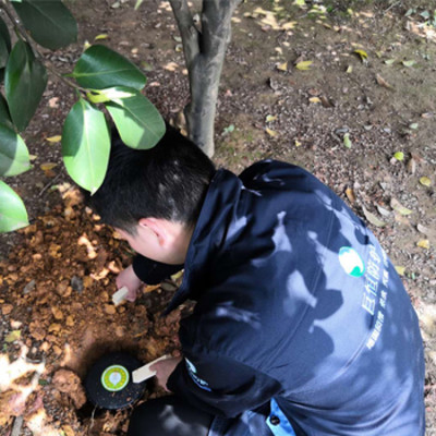 巨恒防护长沙灭白蚁治白蚁公司,建筑工程白蚁防治